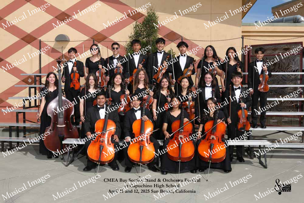 Musical Images